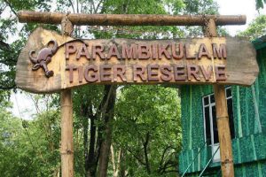 Read more about the article പറമ്പിക്കുളം കടുവാ സങ്കേതത്തിൽ തസ്തികയിൽ ഒഴിവ്; അവസാന തീയതി ഡിസംബർ അഞ്ച്