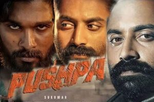 Read more about the article റിലീസിന്  മുൻപ് തന്നെ  250 കോടി ബിസിനസ് നടത്തി അല്ലു അർജ്ജുൻ്റെ  പുഷ്പ;   പാന്‍ ഇന്ത്യന്‍ താരം എന്ന ലേബലിലേക്ക് ഉയർന്ന് ഫഹദ് ഫാസില്‍