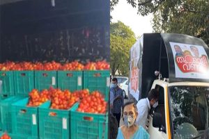 Read more about the article ജനകീയമായി വിലക്കുറവിൽ തക്കാളി വണ്ടി; ജനുവരി ഒന്ന് വരെ കാസർകോട് ജില്ലയില്‍