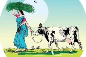 Read more about the article ക്ഷീര കര്‍ഷകരെ പ്രോത്സാഹിപ്പിക്കാൻ ക്ഷീര സമൃദ്ധി പദ്ധതി; ഇ. ചന്ദ്രശേഖരന്‍ എം.എല്‍.എ ഉദ്ഘാടനം ചെയ്തു