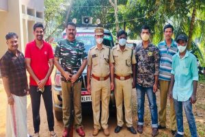 Read more about the article മുളിയാർ കല്ലുവളയിൽ നാട്ടിലിറങ്ങി അക്രമകാരിയായി കാട്ടുപന്നി;   പ്രത്യേക  ദൗത്യസംഘം വെടിവെച്ച് കൊന്നു