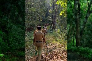 Read more about the article അനധികൃതമായി വനത്തിൽ പ്രവേശിച്ചാൽ കർശന നടപടി: ഡി.എഫ്. ഒ  ധനേഷ് കുമാർ