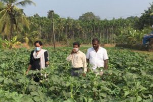 Read more about the article കൃഷി ജീവിതചര്യയാക്കിയ എരിയപ്പാടിയിലെ മുഹമ്മദ് ജില്ലയിലെ മികച്ച കര്‍ഷകന്‍; 21ന് പ്രിന്‍സിപ്പല്‍ കൃഷി ഓഫീസ് ആദരിക്കും