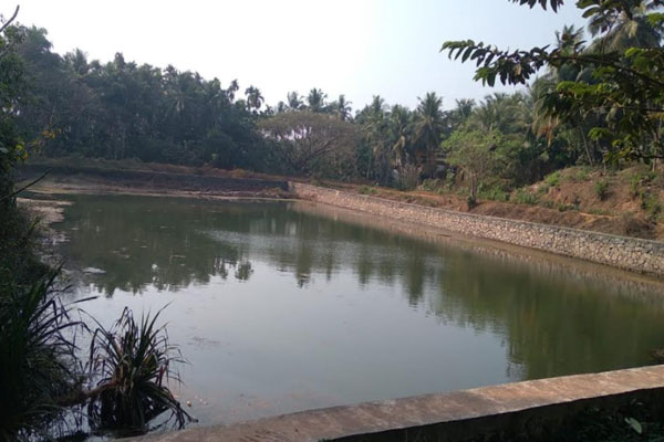 Read more about the article ഒരേക്കര്‍ പ്രദേശത്ത് പരന്ന് കിടക്കുന്ന ബാക്കത്തിമാര്‍ കുളത്തിന് പുതുജീവന്‍ നൽകുന്നു