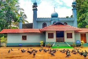 Read more about the article കേന്ദ്ര ടൂറിസം വകുപ്പിന്റെൻ്റെ  പ്രസാദ് പദ്ധതിയിൽ ഇടം നേടി ചേരമാൻ മസ്ജിദും മലയാറ്റൂർ പള്ളിയും; അന്തിമ പ്രഖ്യാപനം അടുത്തമാസം അവസാനത്തോടെ