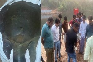 Read more about the article അത്യന്തം അപൂർവ്വഇനത്തിൽപ്പെട്ട ‘ഭീമൻആമ’യെ ഷട്ടറിൻ്റെ ഇടയിൽ ചത്ത നിലയിൽ കണ്ടെത്തി