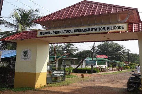 Read more about the article ആസാദി കാ അമൃത് മഹോത്സവ്: ഉത്തരമേഖല പ്രാദേശിക കാര്‍ഷിക ഗവേഷണ കേന്ദ്രത്തില്‍ സംസ്ഥാനതല ശില്പശാല മന്ത്രി പി. പ്രസാദ് ഉദ്ഘാടനം ചെയ്യും