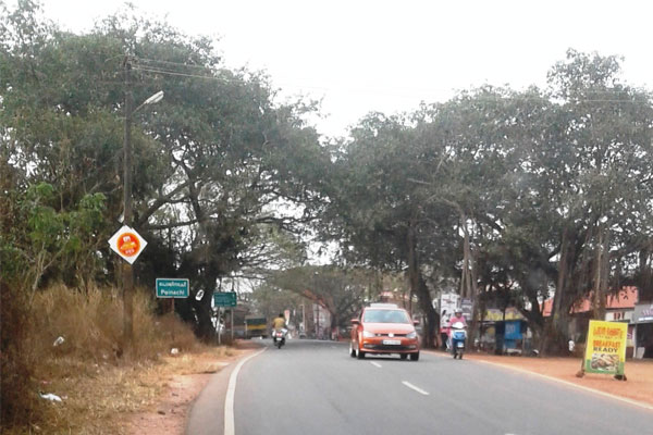 Read more about the article റോഡ് നവീകരണ  ഭാഗമായി തണല്‍മരങ്ങളും ബസ് സ്റ്റാന്‍ഡുകളും പൊളിച്ചു മാറ്റി;  യാത്രക്കാര്‍ക്കും കാല്‍നടയാത്രക്കാര്‍ക്കും താല്‍ക്കാലിക ടെന്റുകള്‍ നിര്‍മിക്കണമെന്ന് ആവശ്യം