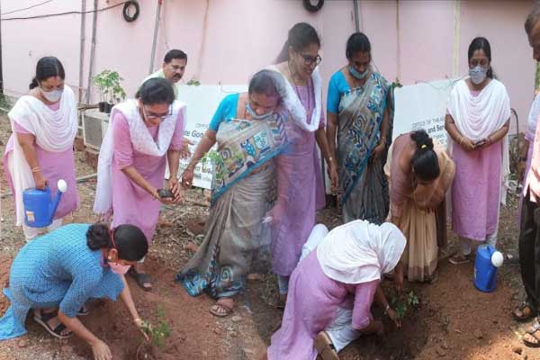 Read more about the article ‘ഞങ്ങളും കൃഷിയിലേക്ക് ‘ കളക്ട്രേറ്റ് പരിസരത്ത് വൃക്ഷത്തൈ നട്ടു