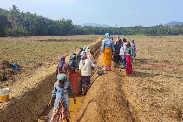 Read more about the article തൊഴിലുറപ്പ് പദ്ധതിയില്‍ നേട്ടം കൊയ്ത് പരപ്പ ബ്ലോക്ക് പഞ്ചായത്ത്;   കൂടുതല്‍ തൊഴില്‍ ദിനങ്ങളും കൂടുതല്‍ തുകയും ചിലവഴിച്ച് ജില്ലയില്‍ ഒന്നാം സ്ഥാനത്ത്