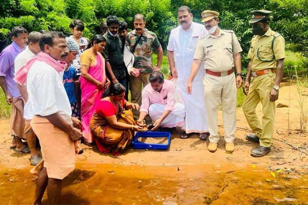 Read more about the article മുട്ട വിരിഞ്ഞ അപൂർവ ഇനത്തിൽപ്പെട്ട ആമകുഞ്ഞുങ്ങളെ പാണ്ടിങ്കണ്ടം പുഴയിൽ വിട്ടു