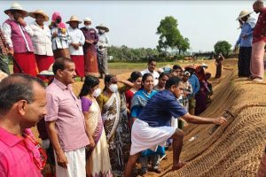 Read more about the article കയര്‍ ഭൂവസ്ത്രമണിഞ്ഞ് പിലിക്കോട് പഞ്ചായത്തിലെ തോടുകള്‍;   തോടുകള്‍ പുനരുജ്ജീവിപ്പിച്ച് കയര്‍ ഭൂവസ്ത്രം വിരിക്കുന്ന പദ്ധതിക്ക് തുടക്കമായി