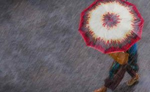 Read more about the article കാസർകോട് ജില്ലയിൽ ഓറഞ്ച് അലെർട്ട്;  24 മണിക്കൂറും പ്രവർത്തിക്കുന്ന കൺട്രോൾ റൂമുകൾ തുറന്നു