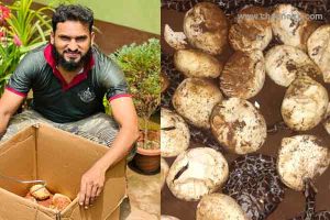 Read more about the article ഞങ്ങൾ ഇന്നലെ കുഞ്ഞുങ്ങളെ കാട്ടിലേക്ക് വിട്ടു, ഇന്ന് രാത്രിയും കുഞ്ഞുങ്ങളെ വിട്ടയക്കും; പെരുമ്പാമ്പിൻ്റെ മുട്ടകൾ വിരിയിക്കാൻ കാസർകോട് ഹൈവേ പണി നിർത്തിയ കഥയിങ്ങനെ