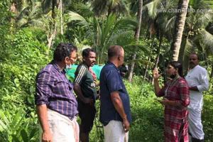 Read more about the article കണ്ണൂർ കാസർകോട് തെങ്ങ് കശാപ്പിന് പിന്നിൽ ദുരൂഹമായ ഫംഗസെന്ന് സംശയം; ശാസ്ത്രജ്ഞർ അന്വേഷണം ആരംഭിച്ചു