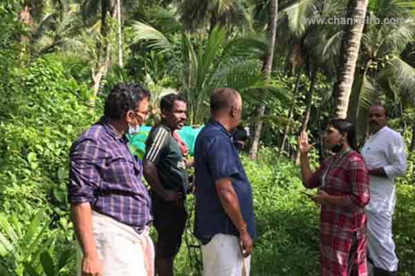 You are currently viewing കണ്ണൂർ കാസർകോട് തെങ്ങ് കശാപ്പിന് പിന്നിൽ ദുരൂഹമായ ഫംഗസെന്ന് സംശയം; ശാസ്ത്രജ്ഞർ അന്വേഷണം ആരംഭിച്ചു