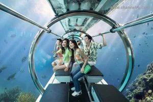 Read more about the article ചില്ല് ഗ്ലാസിലൂടെ കടൽ കാഴ്ചകള്‍ കാണാം; സമുദ്രത്തിൻ്റെ 328 അടി താഴ്ചയില്‍ സഞ്ചരിക്കും, വിനോദ സഞ്ചാരികളെ ആകര്‍ഷിച്ച്‌ വിയറ്റ്‌നാമീസ് അന്തര്‍വാഹിനി