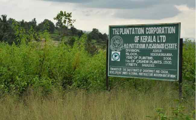 You are currently viewing എന്‍ഡോസള്‍ഫാന്‍; ദുരിതബാധിതരുടെ പട്ടികയില്‍ ഉള്‍പ്പെട്ട എട്ട് പേര്‍ക്ക് അഞ്ച് ലക്ഷം രൂപ നഷ്ടപരിഹാരം നല്‍കി