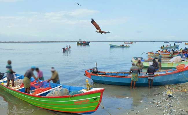 Read more about the article പരിശോധന കര്‍ശനമാക്കും; കാസർകോട് ജില്ലയിൽ  അനധികൃത മീന്‍പിടിത്തം തടയാന്‍ പ്രത്യേക കമ്മിറ്റി രൂപീകരിച്ചു