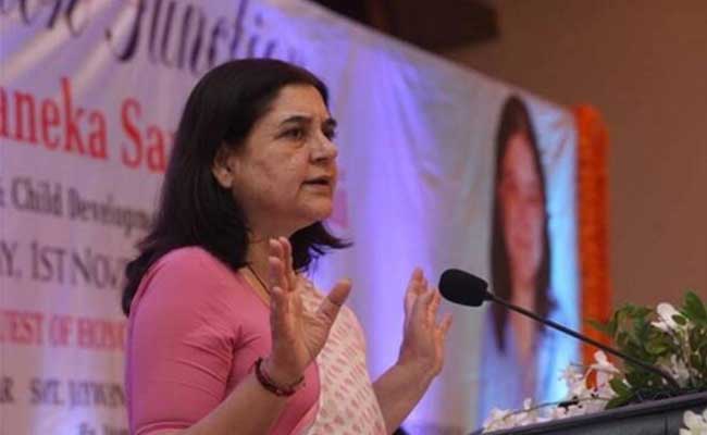 Read more about the article കാട്ടുപന്നികളെ കൊല്ലാനുള്ള അധികാരം തദ്ദേശ സ്ഥാപനങ്ങൾക്ക്; പ്രതിഷേധവുമായി ബി.ജെ.പി എം. പി മനേക ഗാന്ധി