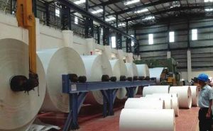 Read more about the article പേപ്പറിൻ്റെ  വില വര്‍ധനവിലും ജി.എസ്.ടി നിരക്ക് വര്‍ധനയിലും പ്രതിഷേധം; കേരള പ്രിന്റേര്‍സ് അസോസിയേഷൻ്റെ  ധര്‍ണ 19ന് വിദ്യാനഗറില്‍