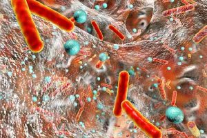 Read more about the article കാസര്‍കോട് ജില്ലയിൽ  നാലുകുട്ടികള്‍ക്ക് ഷിഗല്ല സ്ഥിരീകരിച്ചു; രോഗം കണ്ടെത്തിയത് ഷവര്‍മയിലൂടെ ഭക്ഷ്യവിഷബാധയേറ്റ കുട്ടികളില്‍