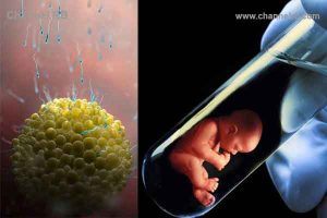 Read more about the article അന്വേഷണം കേരളത്തിലെ സൂപ്പർ സ്പെഷ്യാലിറ്റി ആശുപത്രികളിലേക്ക്; പതിനാറുകാരിയുടെ ഭ്രൂണം വിറ്റത് എട്ടു തവണയെന്ന് പൊലീസ്