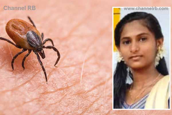 You are currently viewing ചെള്ള് പനി ബാധിച്ച്‌ വിദ്യാര്‍ഥിനി മരിച്ച സംഭവത്തിൽ ആരോഗ്യ വകുപ്പ് ജാഗ്രതയിൽ; എന്താണ് ചെള്ള് പനി, കാരണവും പ്രതിരോധവും അറിയാം