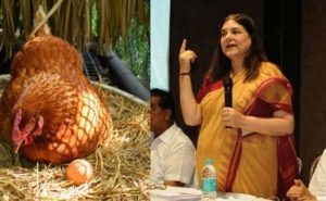 Read more about the article മുട്ടയെ പ്രോത്സാഹിപ്പിക്കുന്ന സർക്കാർ പരിപാടികൾ നിർത്തണം; മുട്ട നിർമ്മിക്കുന്നത്  കോഴിയുടെ ആർത്തവ രക്തത്താൽ; കുട്ടികൾക്ക് കൊടുക്കരുതെന്ന് മനേക ​ഗാന്ധി