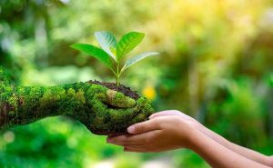 Read more about the article ലോക പരിസ്ഥിതി ദിനാചരണവും  വൃക്ഷസമൃദ്ധി പദ്ധതിയും;  ജില്ലാതല ഉദ്ഘാടനം   ഇ. ചന്ദ്രശേഖരൻ  എം.എൽ.എ നിർവഹിച്ചു