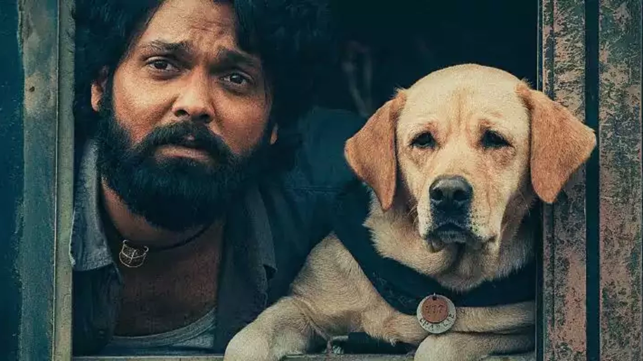 You are currently viewing ‘777 ചാര്‍ളി’ ഒടിടിയിലേക്ക്; റിലീസ് ഡേറ്റ് പുറത്ത്