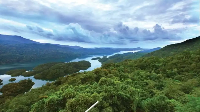 Read more about the article ബഫര്‍ സോണ്‍; കേരളം സുപ്രീം കോടതിയിലേക്ക്