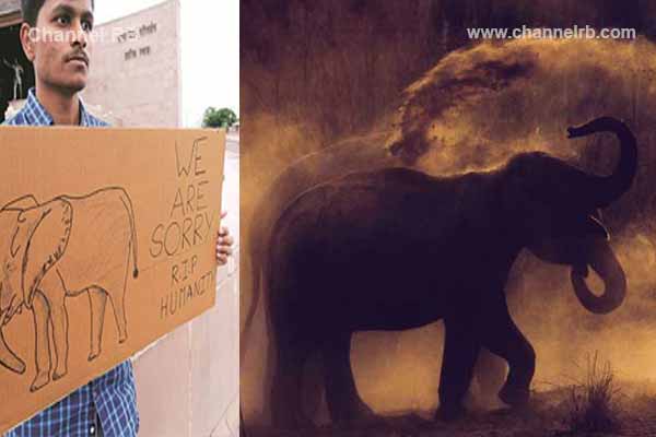 Read more about the article കാട്ടാന ഭീതിൽ ഒരു ഗ്രാമം; ആറളം ഫാമില്‍ കാട്ടാനയുടെ ചവിട്ടേറ്റ് കർഷകൻ മരിച്ചു, വനം വകുപ്പിനെതിരെ വ്യാപക പ്രതിഷേധം