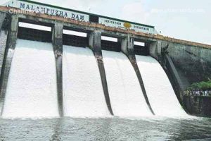 Read more about the article മലമ്പുഴ ഡാമിൻ്റെ നാല് ഷട്ടറുകള്‍ തുറന്നു; മുല്ലപ്പെരിയാറിൽ ജലനിരപ്പില്‍ വര്‍ധന, കനത്ത ജാഗ്രതാ നിര്‍ദേശം