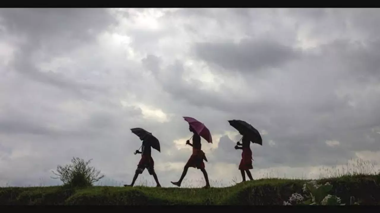 You are currently viewing കനത്ത മഴ തുടരും; ജാഗ്രത പാലിക്കണമെന്ന് മുഖ്യമന്ത്രി