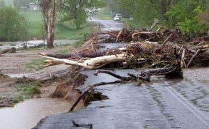 Read more about the article കാലവര്‍ഷക്കെടുതി; കാസർകോട് ജില്ലയില്‍ ജൂലൈ എട്ട് മുതല്‍ 12 വരെ നശിച്ചത് 144.41 ഹെക്ടര്‍ കൃഷി;49.19 ലക്ഷം രൂപയുടെ കൃഷിനാശം