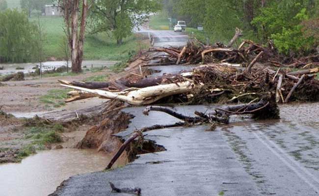 Read more about the article കാലവര്‍ഷക്കെടുതി; കാസർകോട് ജില്ലയില്‍ ജൂലൈ എട്ട് മുതല്‍ 12 വരെ നശിച്ചത് 144.41 ഹെക്ടര്‍ കൃഷി;49.19 ലക്ഷം രൂപയുടെ കൃഷിനാശം