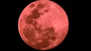 Read more about the article 2022 ലെ ‘സൂപ്പർ മൂൺ’ ഇന്ന്; വിസ്മയം കാണാൻ ഒരുങ്ങി ലോകം