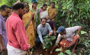 Read more about the article ഭൂമിക്കായൊരു തണൽ;  പദ്ധതിയുടെ ഭാഗമായി ഉദുമ ഗ്രാമ പഞ്ചായത്ത്