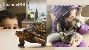 Read more about the article ജന്തുജന്യ രോഗങ്ങൾക്ക് മികച്ച കരുതൽ; കേന്ദ്ര മാർഗ നിർദ്ദേശങ്ങൾ പാലിക്കണം, വിദേശ ഇനം ജീവജാലങ്ങൾക്ക്  സംരക്ഷണം നൽകുന്നത് ഇങ്ങനെ