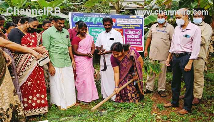 Read more about the article ആരോഗ്യ മേള  ജനകീയമാക്കി നാട്ടുകാർ; ജീവിതശൈലി രോഗനിർണ്ണയ ക്യാമ്പും പരിസര ശുചീകരണവും, ആരോഗ്യമുള്ള ജനതയ്ക്ക് നാട് ഒന്നിക്കുന്നു