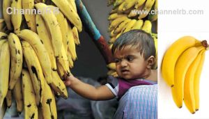 Read more about the article നേന്ത്രപ്പഴം കഴിക്കാറുണ്ടോ; ഹൃദയ ആരോഗ്യവും രക്തസമ്മര്‍ദ്ദവും നിയന്ത്രിക്കണോ, ഇതറിഞ്ഞോളൂ