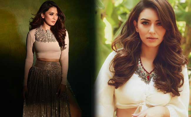 Read more about the article പ്രമുഖ രാഷ്‌ട്രീയ നേതാവിൻ്റെ  മകനുമായി നടി  ഹൻസിക വിവാഹിതയാകാനൊരുങ്ങുന്നു