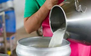 Read more about the article തമിഴ്നാട്ടിൽ നിന്നെത്തുന്ന പാലിൽ  യൂറിയ അംശം; അതിർത്തിയിൽ 12750 ലിറ്റർ പിടികൂടി അധികൃതർ