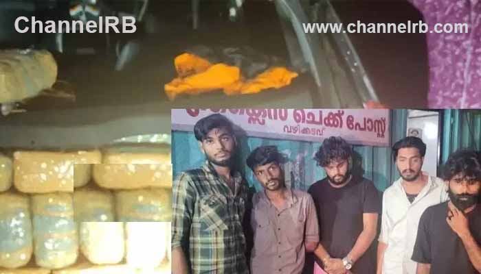 Read more about the article നിലമ്പൂര്‍ വഴിക്കടവില്‍ 130 കിലോ കഞ്ചാവ് വേട്ട; അരക്കോടിയില്‍ അലധികം രൂപ വിലവരുന്നത്, അഞ്ചംഗ സംഘം പിടിയില്‍