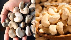 Read more about the article കശുവണ്ടിക്ക്‌ ലോട്ടറിയടിച്ചത് ഓണക്കിറ്റിലെ വി.ഐ.പി ആയതിനാൽ, 80 ലക്ഷം പാക്കറ്റിലായി 400 ടണ്‍ പരിപ്പാണ് ആവശ്യം