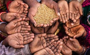 Read more about the article കേരളത്തിലുള്ളത്  64,006 അതിദരിദ്രർ; ഇതിൽ 8553 പേരും മലപ്പുറത്താണെന്ന് തദ്ദേശ ഭരണ വകുപ്പ് തയ്യാറാക്കിയ കണക്കെടുപ്പിൽ പറയുന്നു