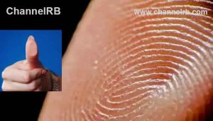 Read more about the article പരീക്ഷയില്‍ ജയിക്കാൻ; കൈവിരലിലെ തൊലി നീക്കം ചെയ്ത് സുഹൃത്തിൻ്റെ വിരലില്‍ പതിപ്പിച്ച്‌ തട്ടിപ്പ് നടത്താന്‍ ശ്രമം, യുവാവ് പിടിയില്‍