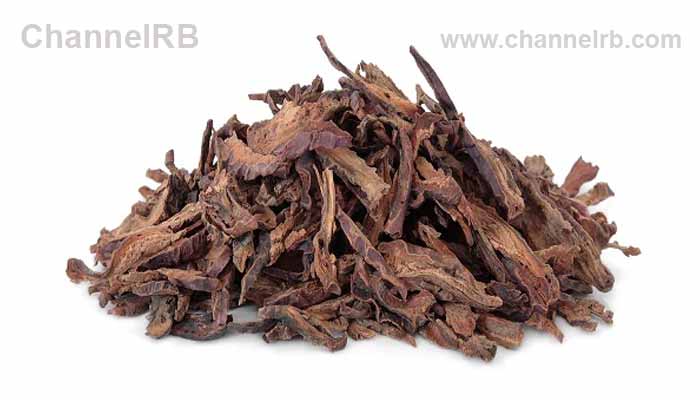 You are currently viewing ആര്‍ത്തവ വേദന ഉള്‍പ്പെടെ സ്ത്രീകളുടെ പ്രശ്‌നങ്ങള്‍ ഇല്ലാതാക്കുന്നു; അശോക മരത്തിൻ്റെ പുറംതൊലി, ഈ രീതിയില്‍ ഉപയോഗിക്കാം