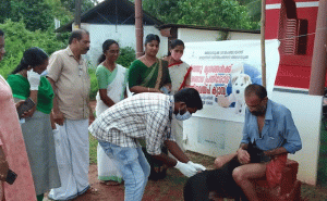 Read more about the article തെരുവ് നായ ശല്യം; ബേഡഡുക്കയില്‍ പ്രതിരോധ കുത്തിവെപ്പ് ക്യാമ്പ് ആരംഭിച്ചു